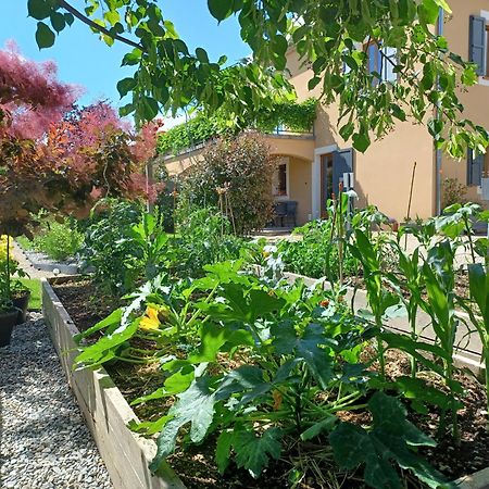 Appartement Entre Sisteron Et Gorges De La Meouge " Les Hauts De Toscane " Ribiers Exterior photo