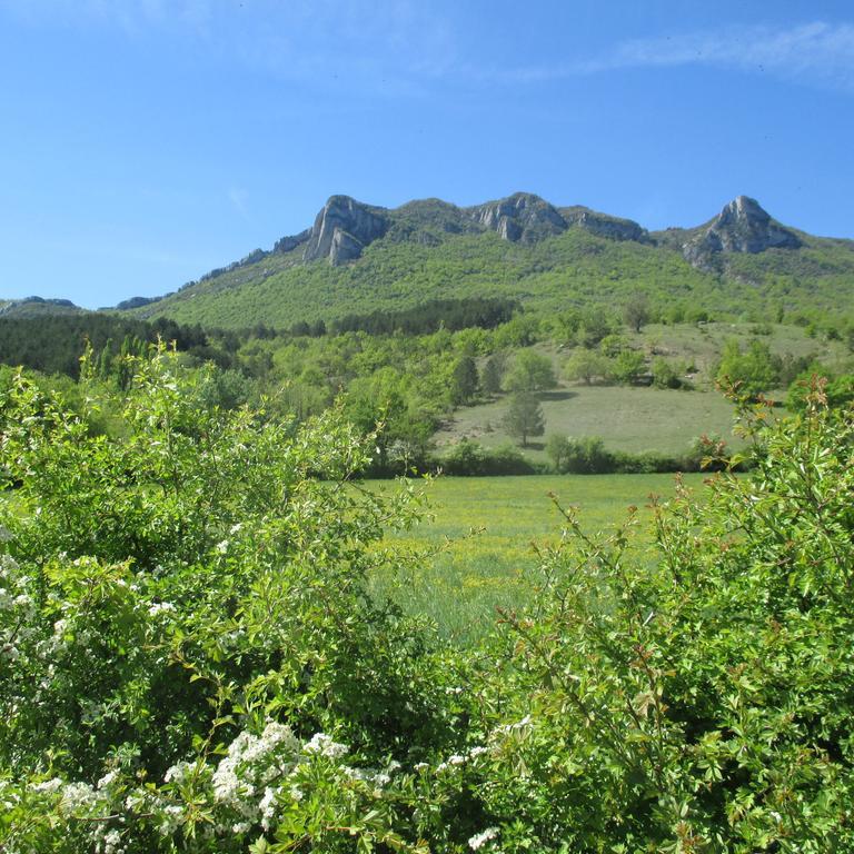 Appartement Entre Sisteron Et Gorges De La Meouge " Les Hauts De Toscane " Ribiers Exterior photo